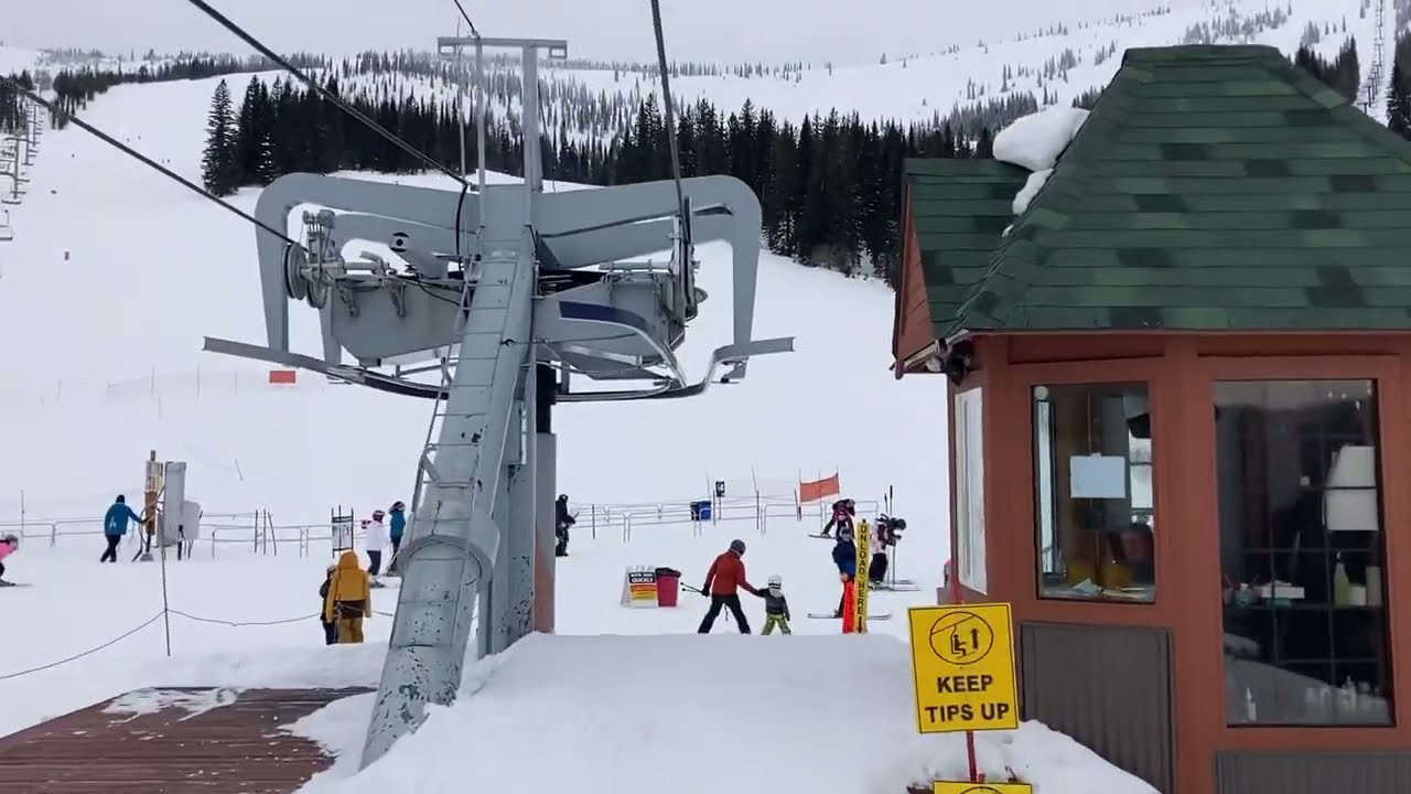 Schweitzer: Musical Chairs (1990-2023)