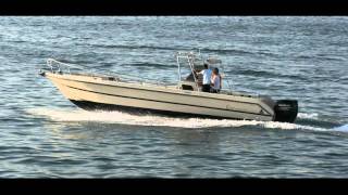 C1000 center consol (Arados Marine Co.)