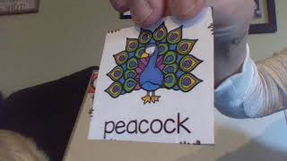Zoo Animal Syllable Sort 2 of 2