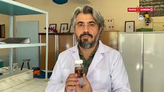 Konya'da yeni bir akrep türü keşfedildi