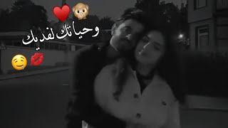 تسالني احبك مااحبك  اجمل حالات واتس اب حب وغرام        مقاطع عشق رومانسيه قصيرةاغاني حب حالات واتساب سمعها