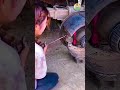 Expert Brake Pad Replacement & Installation Services.