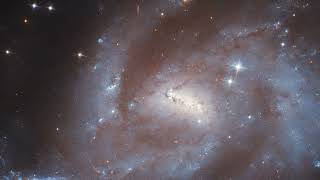 Hubble - Pan: UGC 11861