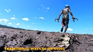 Download Lagu Amazing Coastal Fisherman Catches Lots of Large Mud Crabs MP3 Download Lagu Amazing Coastal Fisherman Catches Lots of Large Mud Crabs MP3