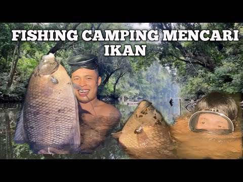 Camping fishing hujan deras masak makan ikan di pinggir sungai pertualangan mencari ikan malam hari