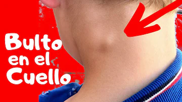 ¿Qué hay dentro de un cuello?