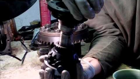 Yoshi Explainis LSDs