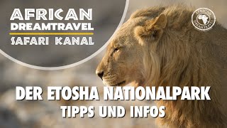 Der Etosha Nationalpark  Highlight in Namibia - Informationen vom Safari Spezialisten