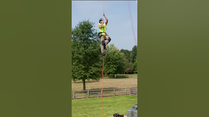 Hunter’s Climbing and Ascending Skills! 🧗#arborist #treework #short #shorts