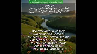 Сура Ан-Намль 27:62  | Чтение Корана с русским переводом | Quran Translation Surah An-Naml النمل