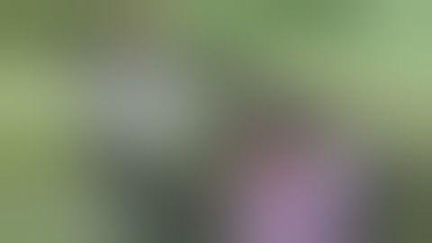 Azari the Devourer FUCKING DIES