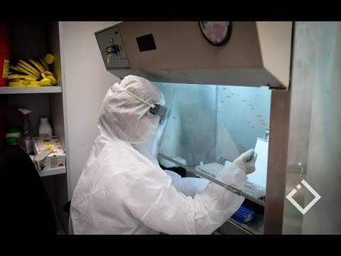 ვირუსის არიდების ყველაზე ეფექტური გზა სწრაფი და მრავალფეროვანი დიაგნოსტიკის ხერხია