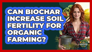Can Biochar Increase Soil Fertility For Organic Farming? - The World of Agriculture
