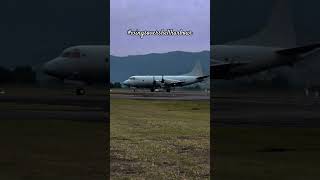 The sound of freedom echoed across Shellharbour skies🇦🇺✈️ #australia #wingsovershellharbour #airport