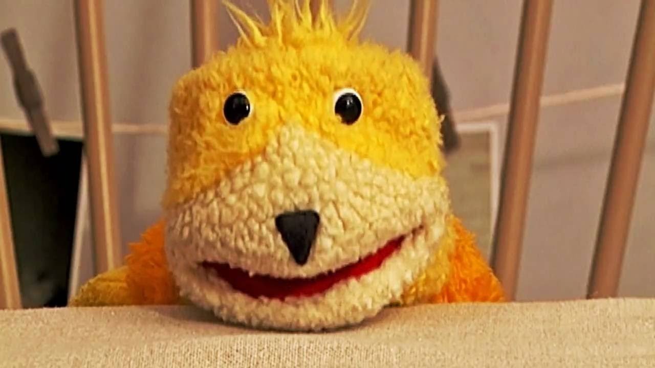 Oizo flat