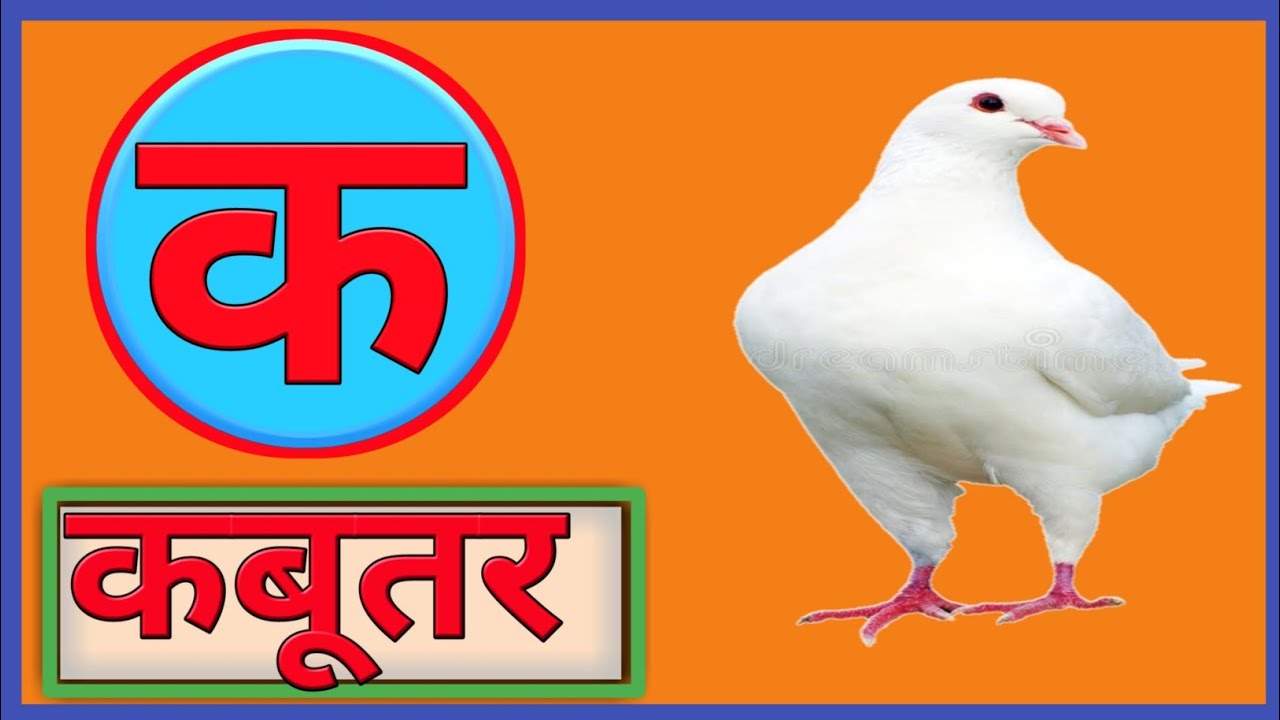k-se-kabutar-hindivarnamala-hindi
