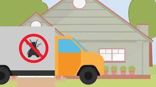 Pest Control in Watford: The Final Solution