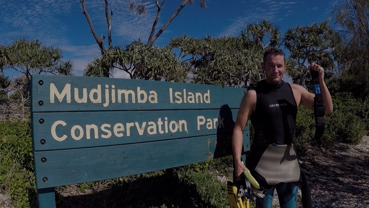 Snorkel With Turtles At Mudjimba Island Sunshine Coast QLD YouTube