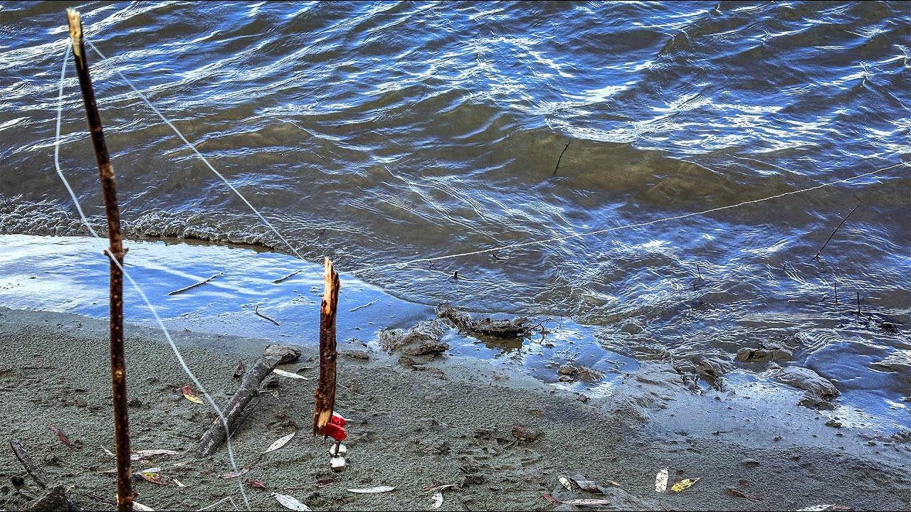 ЭТА СНАСТЬ ЛОВИТ ЛУЧШЕ ЛЮБОГО ФИДЕРА!!! ОСЕННИЙ ЖОР РЫБЫ НА РЕКЕ!