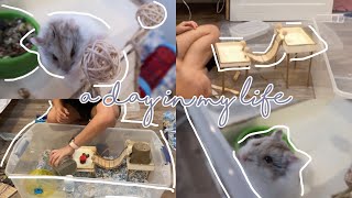 A Day In My Life Vlog Making A Hamster Bin Cage