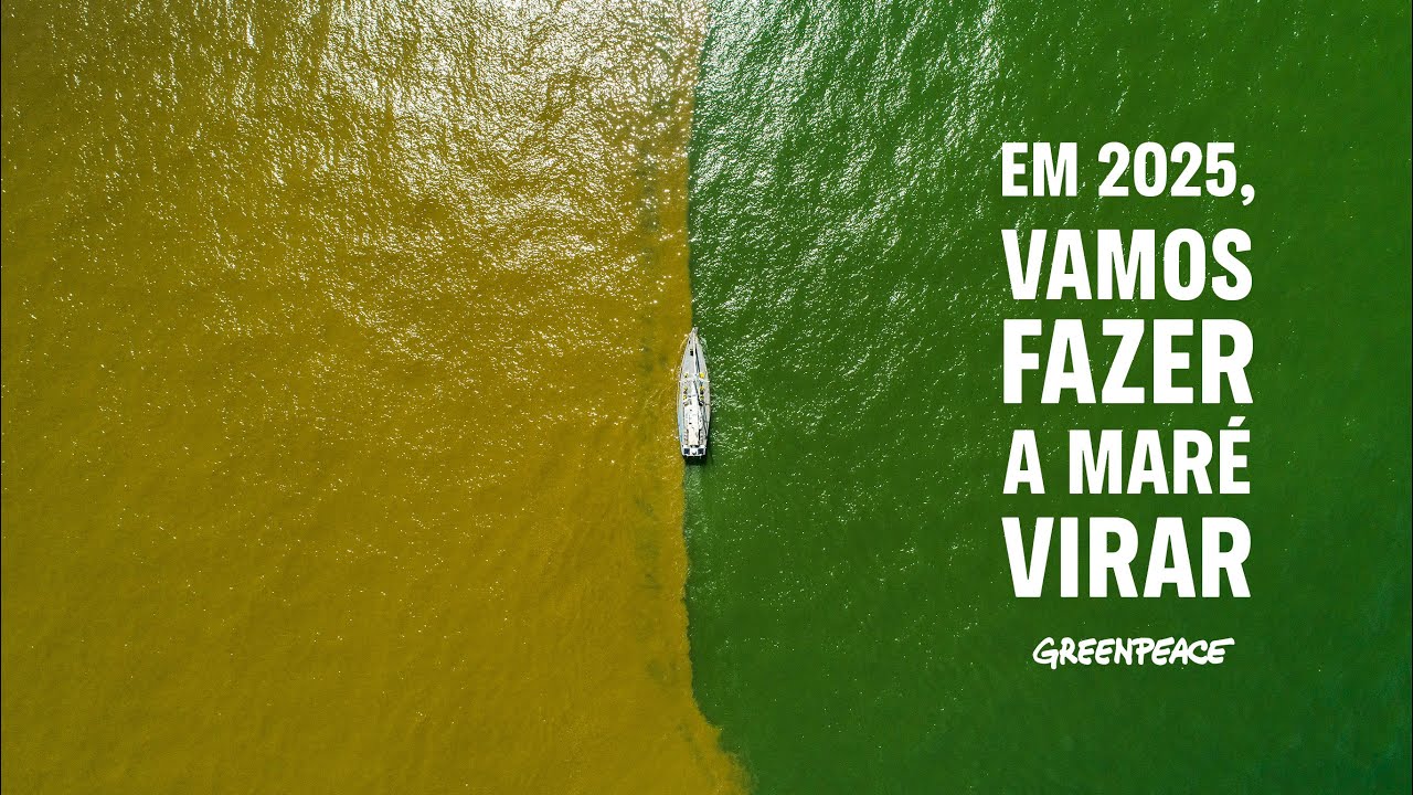Em 2025, vamos virar a maré - Greenpeace Brasil