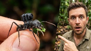 Famous "I Strapped a Tiny Camera on an Ant's Back and Explored Its Underground City 🐜📷" Profile
