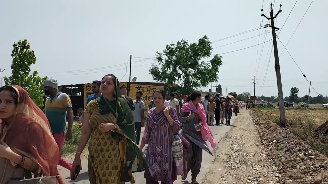 4161 master cadre union ✊ 