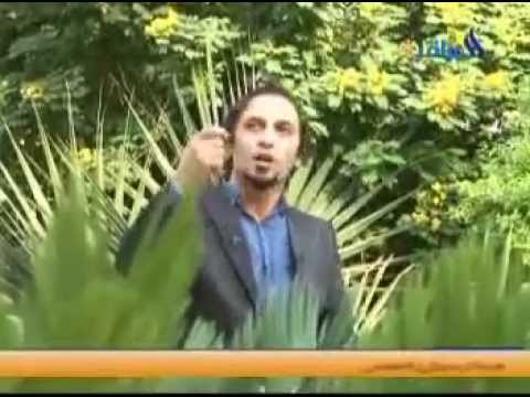 الشاعر رائد ابو فتيان طاحت صحتي 