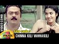 Chinna kili vanna kili song  chinna gounder tamil movie  vijayakanth  sukanya  ilayaraja