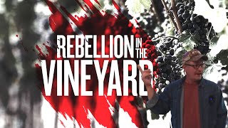 Top Viticulturist Reveals Secrets to Calming Vineyard Unrest
