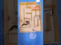 Centipede #foryou #maze #viral #shortvideo