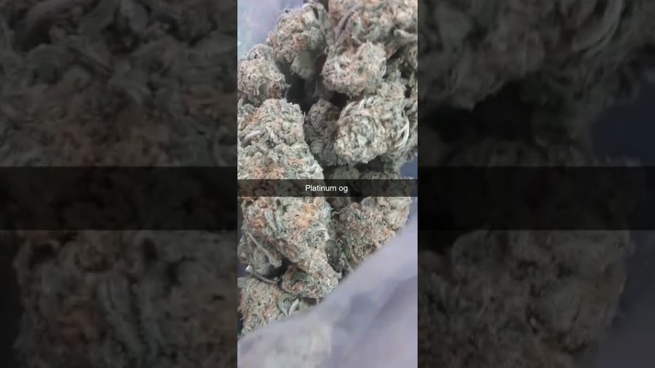 Platinum OG