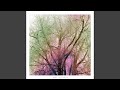 Miniature de la vidéo de la chanson Shadowed By Trees