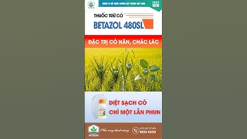 🌾🌾 𝐁𝐄𝐓𝐀𝐙𝐎𝐋 𝟒𝟖𝟎𝐒𝐋 – ĐẶC TRỊ CỎ NĂN, CHÁC LÁC | 1 LẦN PHUN – SẠCH BÓNG CỎ DẠI