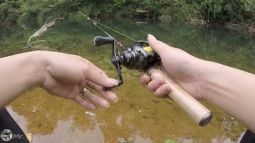 Câu cá suối trên bản | Cá mương siêu to.