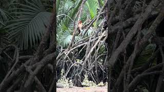 IMG 6359