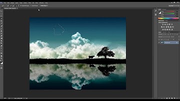 How to use Quick selection tool and Magic wand tool in Photoshop