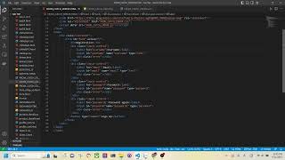 How to use the error catch form with html css js