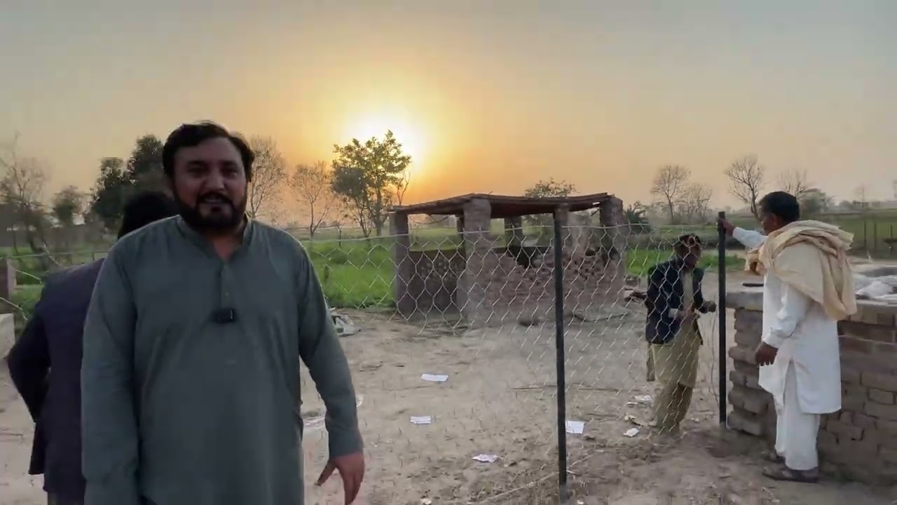 Breeder bakra a gia jaali lg gai 