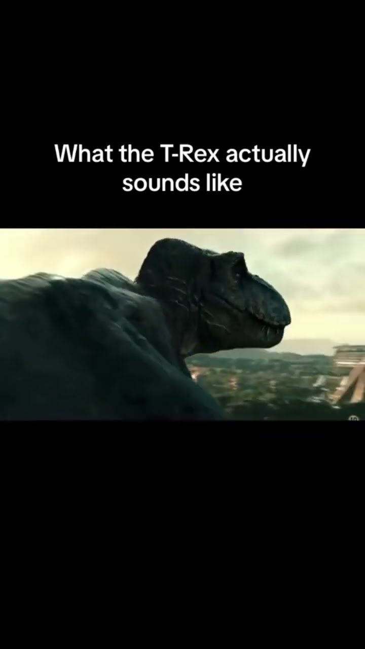 Wait for it… #ncs #nocopyrightsounds #meme #jurassicpark #trex