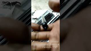 Laras Sharp Tiger Alur 12