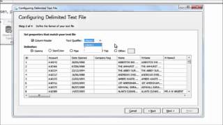 Acuate Data Profiling Tool: How to use a Text File
