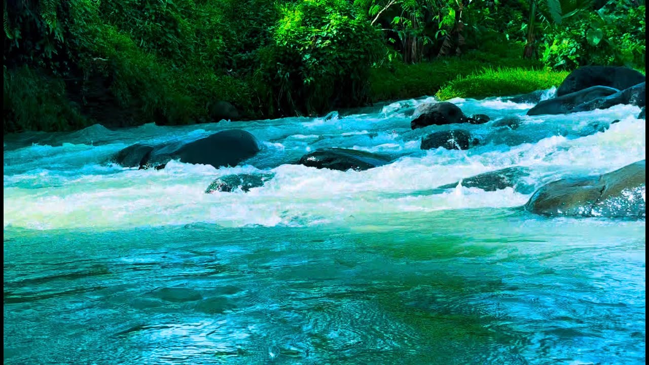 Waterfall Gentle Stream Sound in forest 24/7. Waterfall Sounds, Flowing Water, White Noise for Sleep