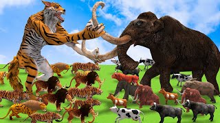 10 African Elephant Vs 10 Giant Tiger Save Cow Video Buffalo From Tiger Wolf Vs Mammoth Elephant