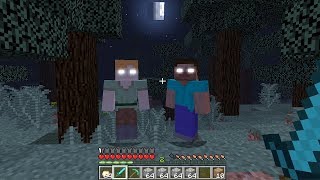 💀ALEXBRINE Y HEROBRINE SE NOS APARECEN! 😱 LAS ENTIDADES MALIGNAS MAS PELIGROSAS MINECRAFT