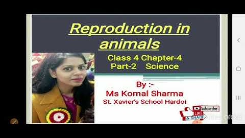 #CLASS #4 #SUBJECT #SCIENCE #CHAPTER #4 #TOPIC #REPRODUCTION #IN #ANIMALS #PART #2 #BY #MISS #KOMAL