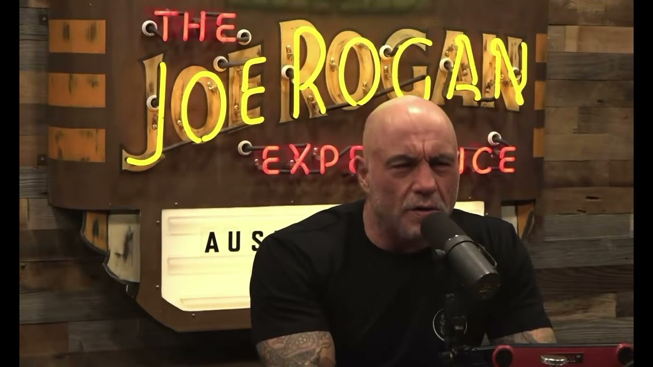 Elon Musk condemned the “homeless industrial complex”