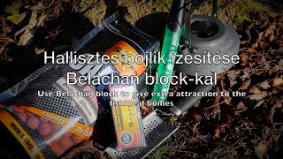 Red Force & Belachan block -Use Belachan block to give extra attraction to the fishmeal boilies