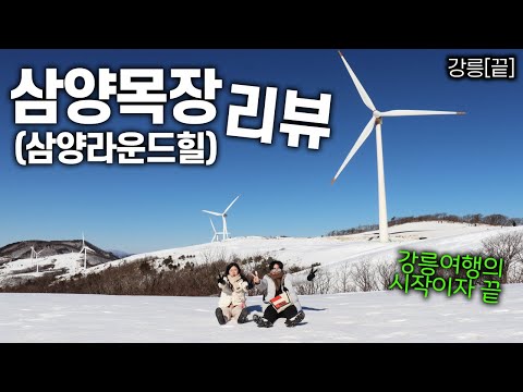 🇰🇷삼양목장(삼양라운드힐), 완벽하게 <strong>즐겨보기</strong>😘 | 가는법,입장료,정상풍경,썰매,수제버거,매점 | 강릉[3]-完 #삼양라운드힐 #삼양목장