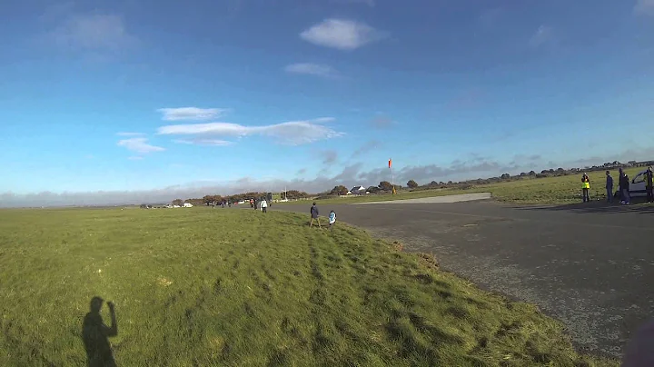 Video 1413191: cornish, cat